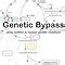 genetic bypass amy yasko Ebook PDF